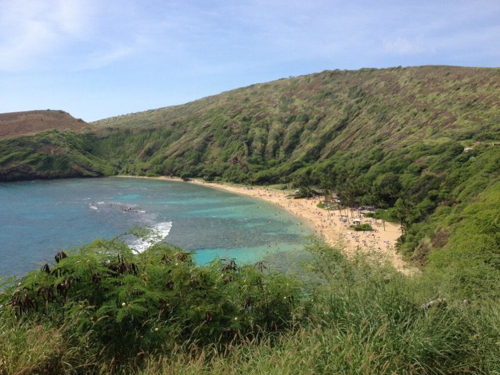 01b2a9e720ca3f76d08dda20d47277e4c0cdc56525