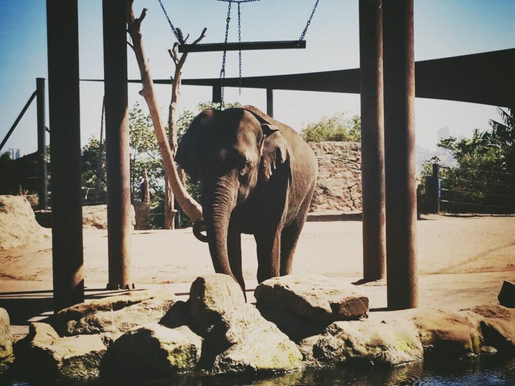 15655978463_04fba36c0f_o