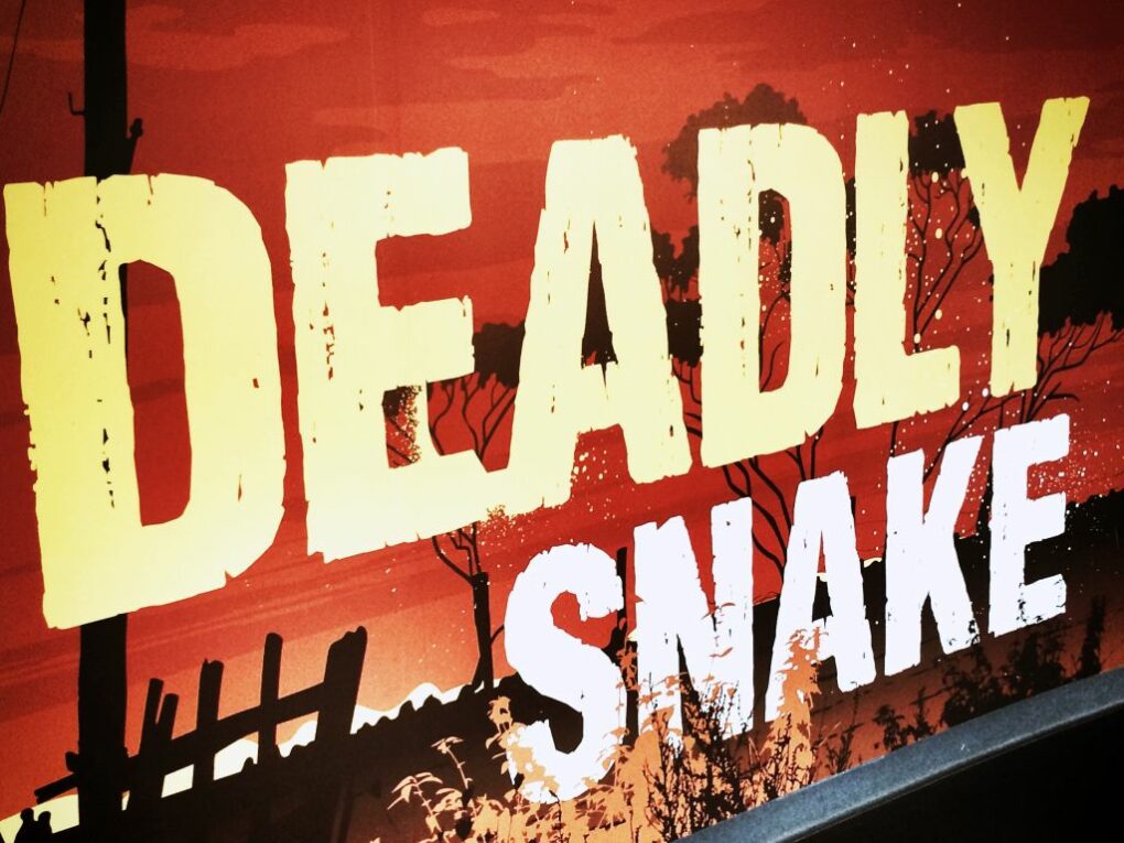 15703152444_ff020ab9a6_o