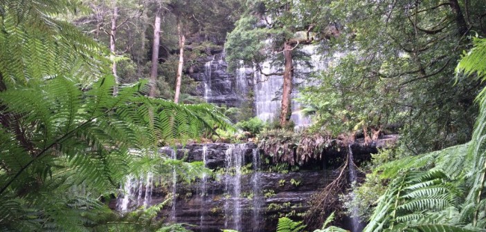 Russell Falls – Beeindruckender Wasserfall mit toller Aussicht