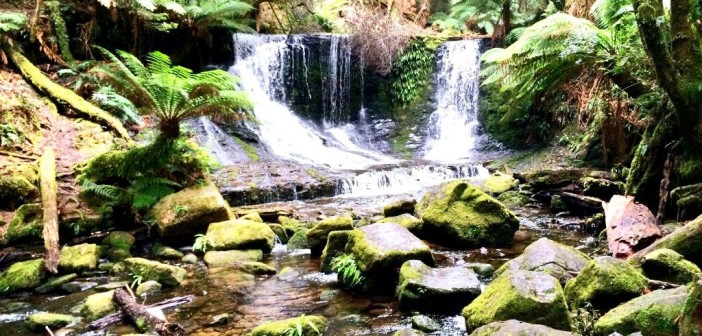 Horseshoe Falls – Wasserfälle im Mount Field Nationalpark