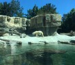 San Diego Zoo